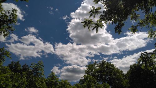 Low angle view of trees against cloudy sky