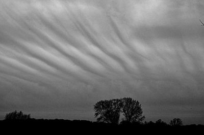 Silhouette of trees against sky at sunset