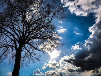 Low angle view of tree against cloudy sky