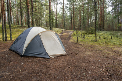 Tent in forest