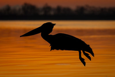 Scenic view of lake during sunset