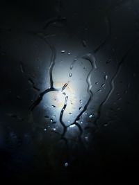 Close-up of wet spider web against sky during rainy season