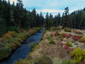 Stream on left side from drone.