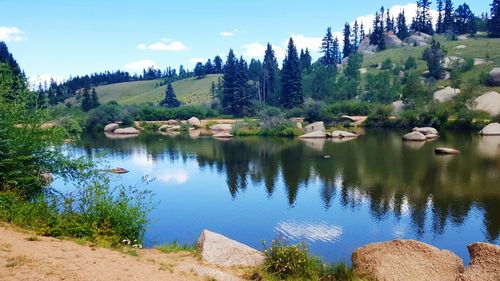 Reflection of trees in lake