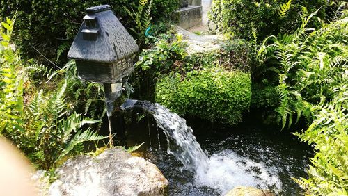 Scenic view of waterfall by trees