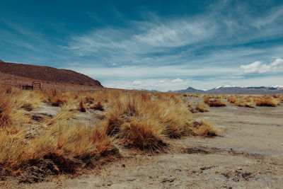 Scenic view of desert against sky