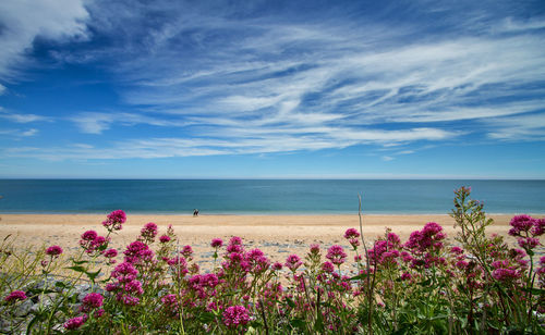Scenic view of sea against blue sky