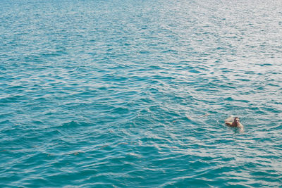 High angle view of man swimming in sea