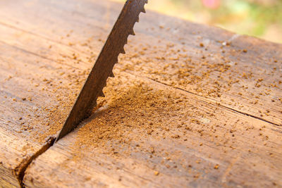 Close-up of wood