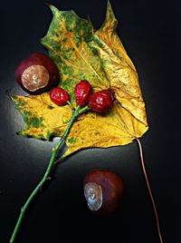 Close-up of cherries on tree