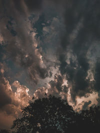 Low angle view of trees against cloudy sky