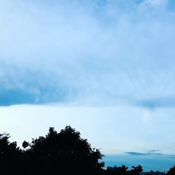 Low angle view of silhouette trees against sky