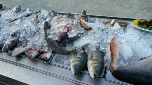 High angle view of fish in crushed ice