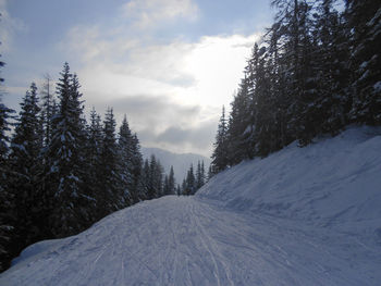 Snowcapped landscape against sky