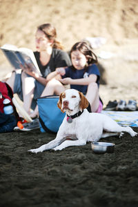 Family relaxing at beach with dog on sunny day