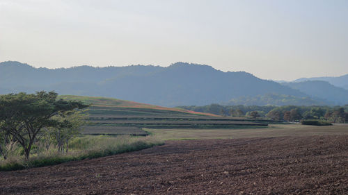 Scenic view of agricultural field against sky