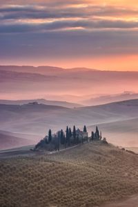 Scenic view of landscape during sunset