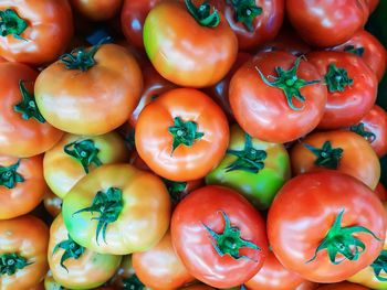 Full frame shot of tomatoes for sale in market