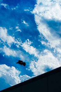 Low angle view of bird flying in sky