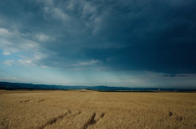 Scenic view of field against sky