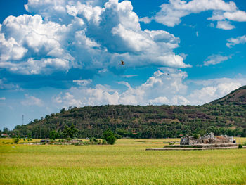 Scenic view of field against sky