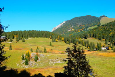 Scenic view of landscape against clear blue sky