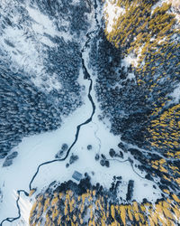 Winter wonderland in the bucegi mountains, southern carpathians, romania