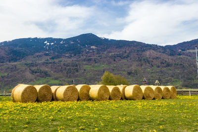 Hay bales on field against sky