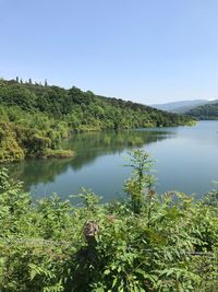 Scenic view of lake against clear sky