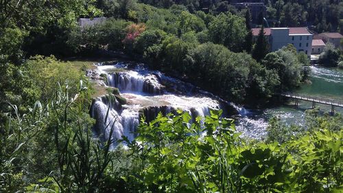 Scenic view of waterfall in forest