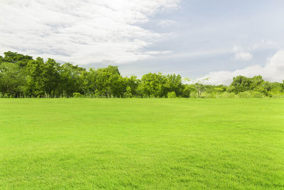 Scenic view of grassy field against sky