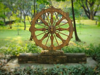 Close-up of clock against trees