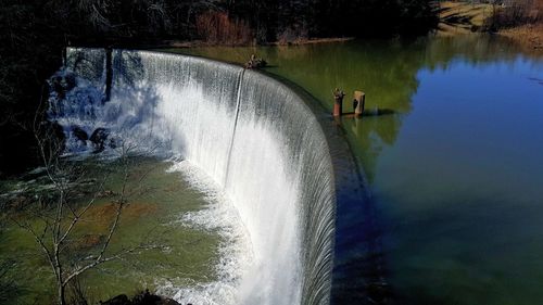 Reflection of trees in water