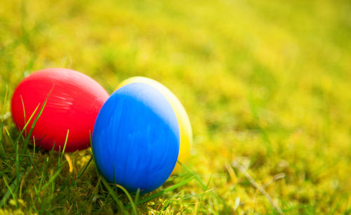 Close-up of easter eggs on grassy field
