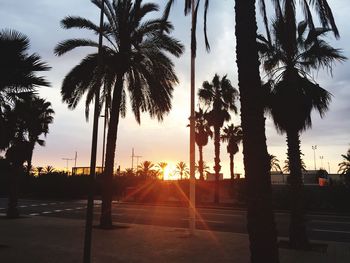 Silhouette palm trees against sky during sunset