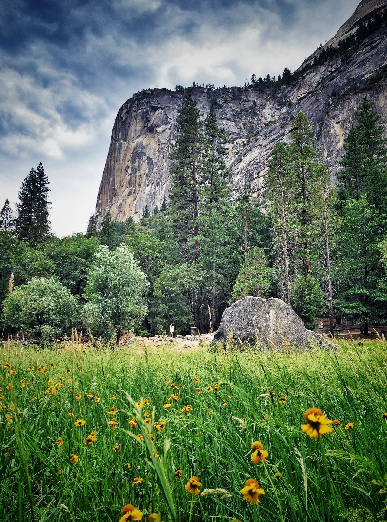 Yosemite Valley