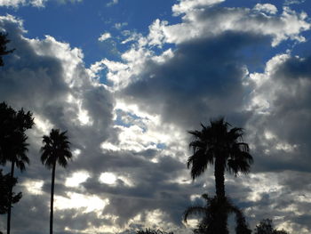 Low angle view of silhouette palm trees against sky