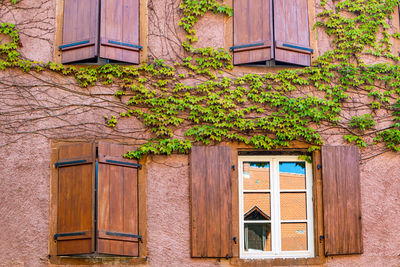 Closed wooden door