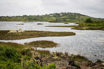 Scenic view of landscape against sky