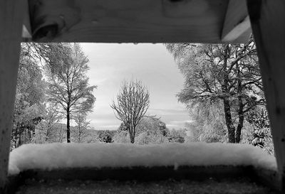 Bare trees on snow covered field against sky