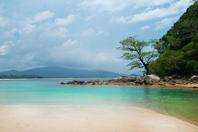 Scenic view of sea against sky