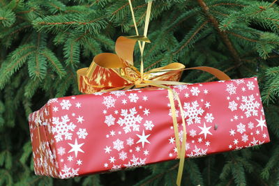Close-up of gift hanging on christmas tree