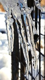 Close-up of icicles