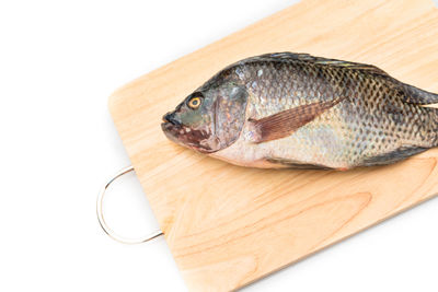 High angle view of fish on cutting board