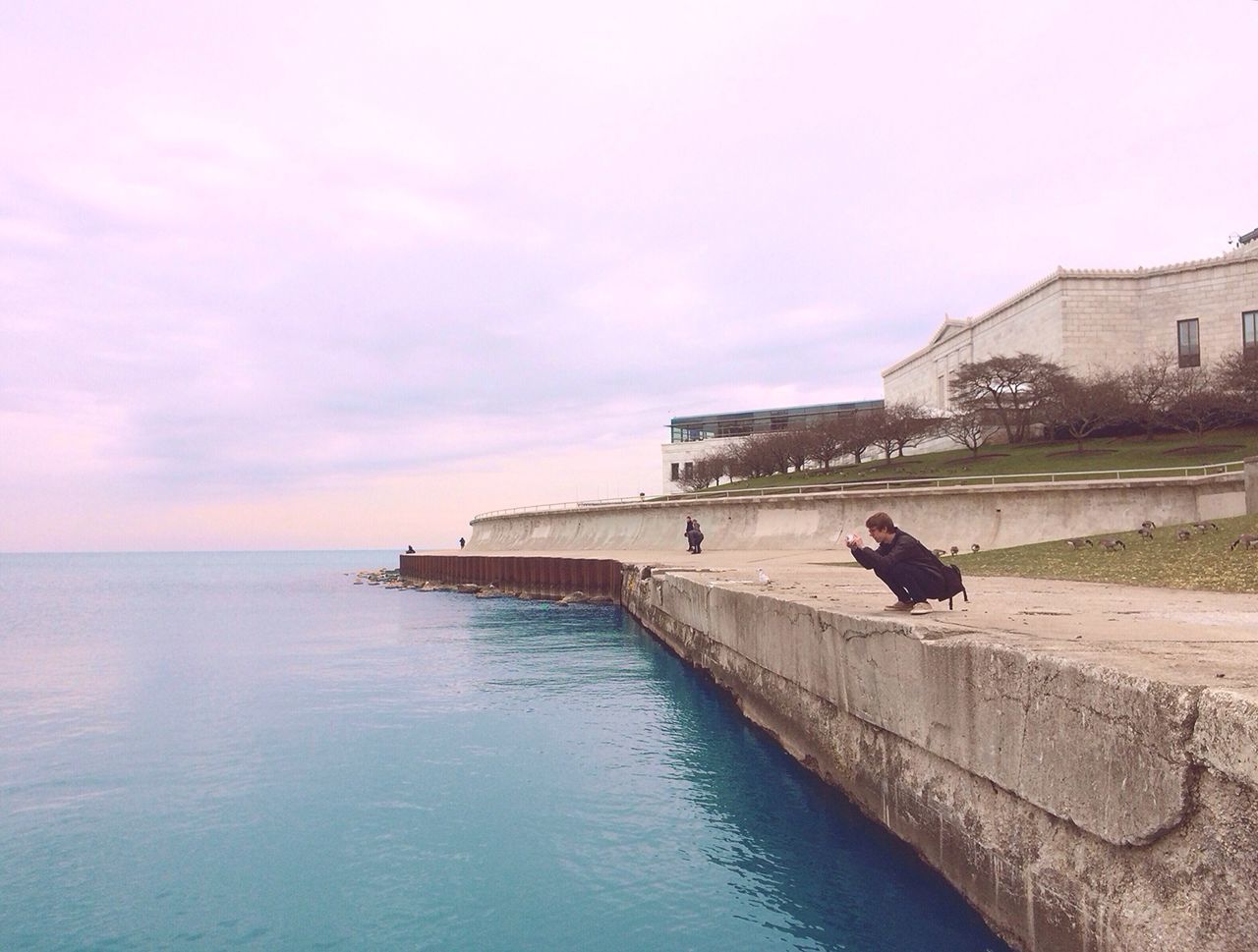 water, sky, one animal, building exterior, built structure, architecture, animal themes, sea, bird, waterfront, horizon over water, cloud - sky, animals in the wild, day, nature, outdoors, one person, cloud, pier, wildlife