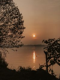 Silhouette tree by sea against sky during sunset