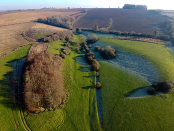 High angle view of agricultural field