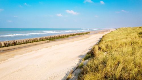 View of calm sandy beach against blue sky