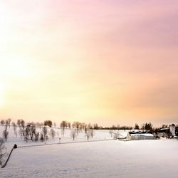 Scenic view of snow covered field