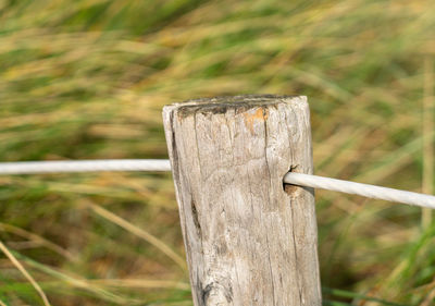 Close-up of wooden post on fence